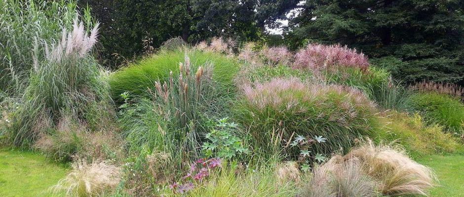 Foto: BGL. - Ihre unterschiedlichen Wuchsformen und Größen, Formen und Farben sowie die Verschiedenartigkeit der Struktur von Blüten, Blättern und Halmen machen Ziergräser ideal für die Umsetzung verschiedener Gestaltungsideen.