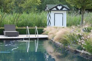 Foto: BGL. - Die feinen Blütenstände des Mexikanischen Fiedergrases, auch Engelshaar genannt, wiegen sich im kleinsten Windhauch und verleihen dem Beckenrand dieses Pools eine sehr natürliche Anmutung