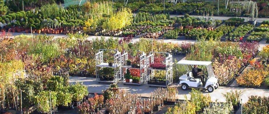 Foto: BdB. - Der Frühling ist eine klassische Pflanzzeit. Wer jetzt neue Pflanzen aussucht, kann das Ergebnis schon in dieser Gartensaison genießen.