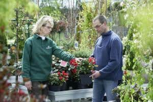 Foto: BdB. - Tipps zur Gehölzauswahl für den Garten und zur richtigen Pflanzung gibt es im Fachhandel.