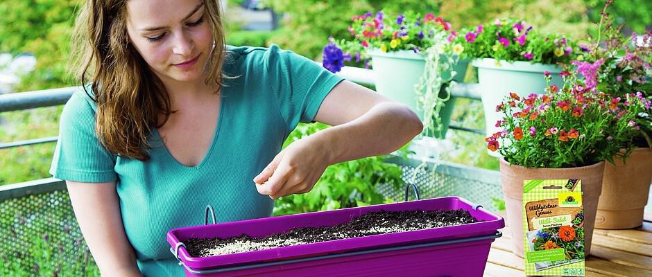 txn-p. Wer keinen Garten hat, muss trotzdem nicht auf selbstgezogene, erntefrische Kräuter in der Küche verzichten. Es gibt spezielle Samen-Mischungen, die eine spannende Auswahl an Kräutern und essbaren Pflanzen enthalten und leicht angebaut werden können. Foto: Neudorff/txn