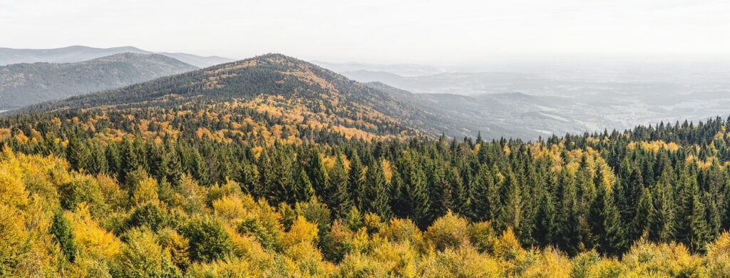 Rauher Kulm, Partherstein, Bayerischer Wald